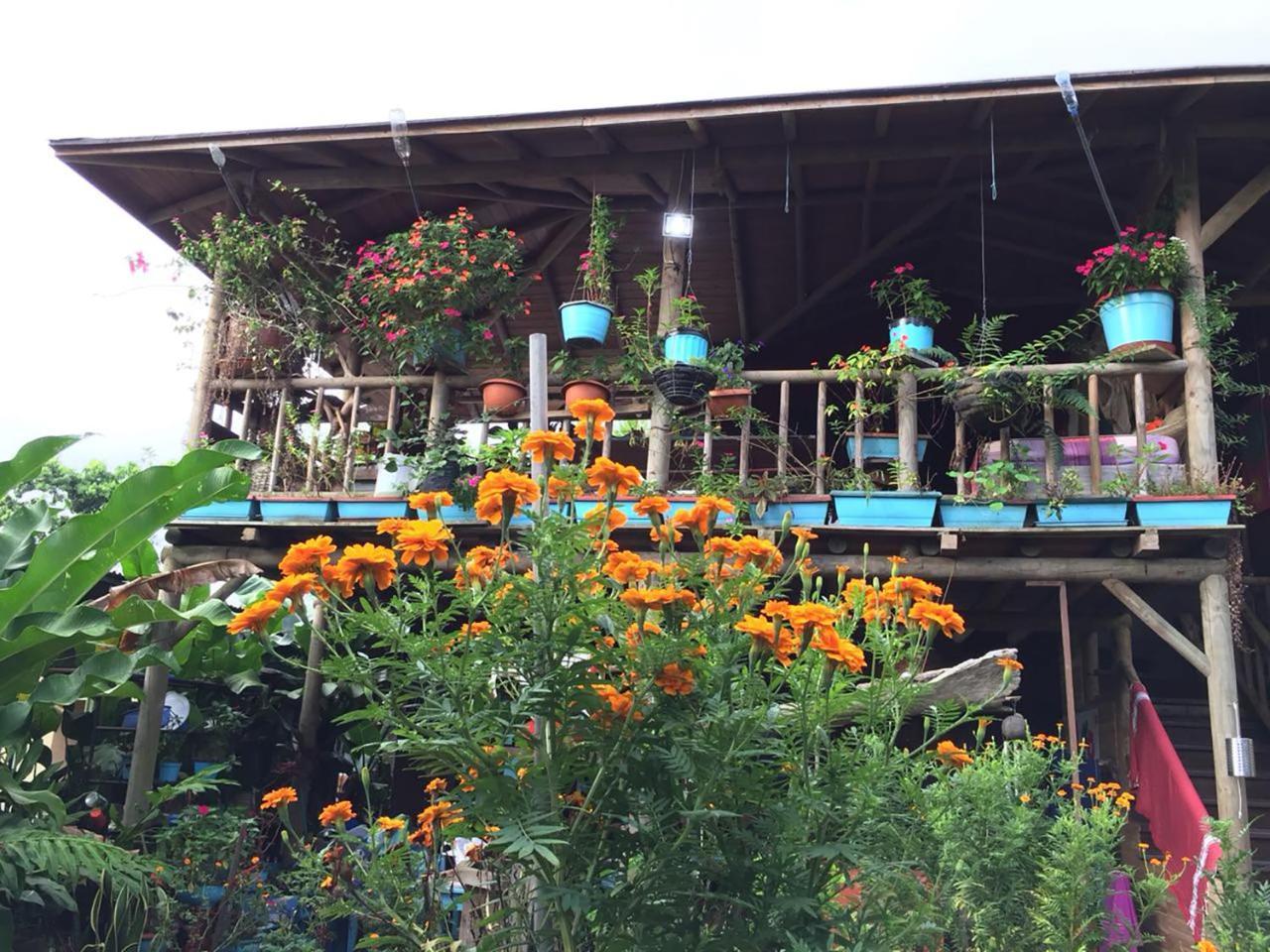 Wood House Hostel La Fortuna Dış mekan fotoğraf