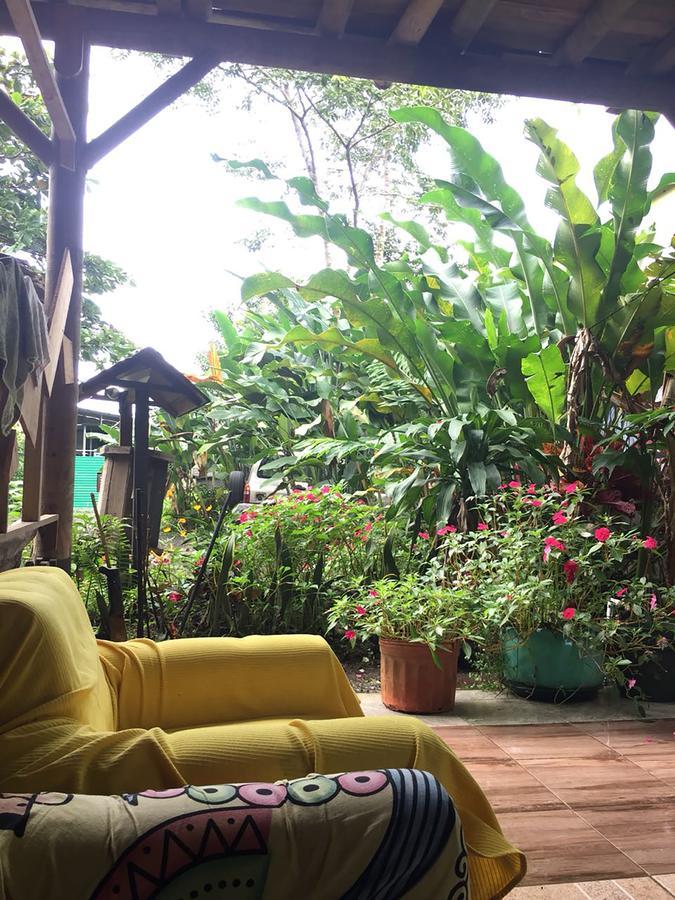Wood House Hostel La Fortuna Dış mekan fotoğraf