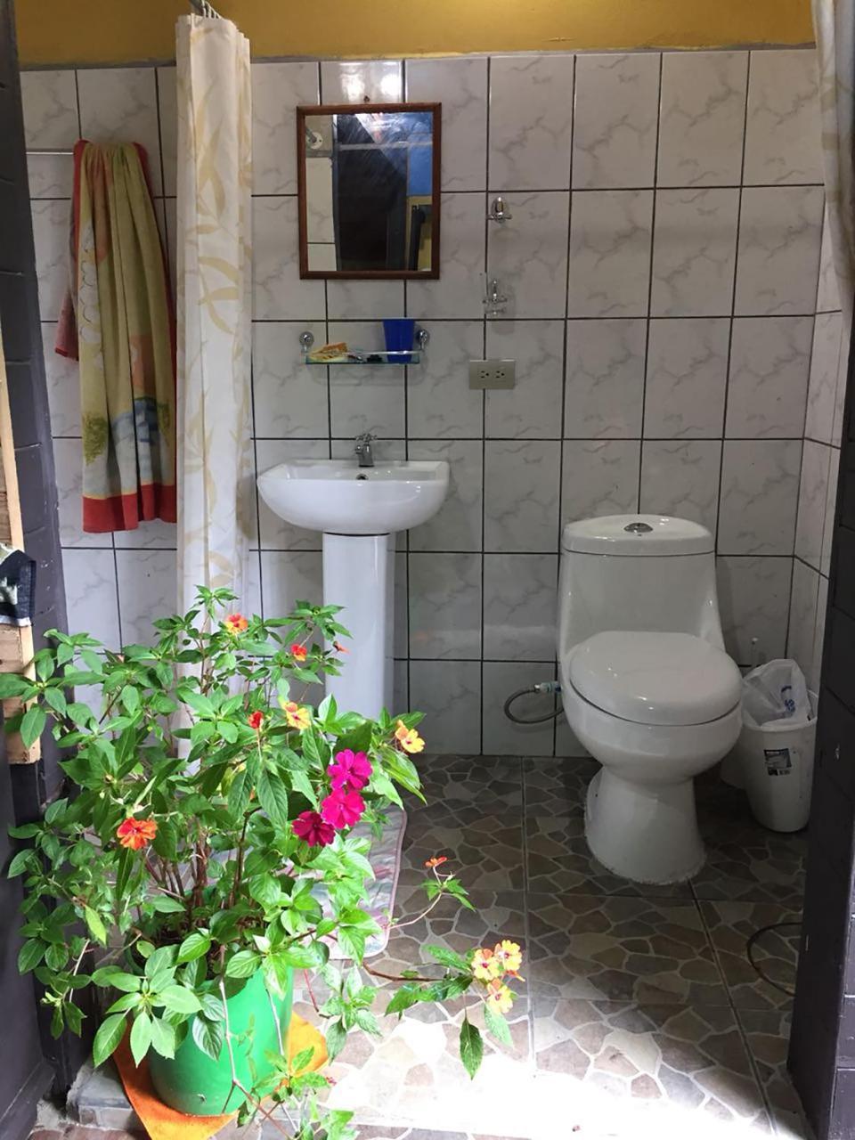 Wood House Hostel La Fortuna Dış mekan fotoğraf