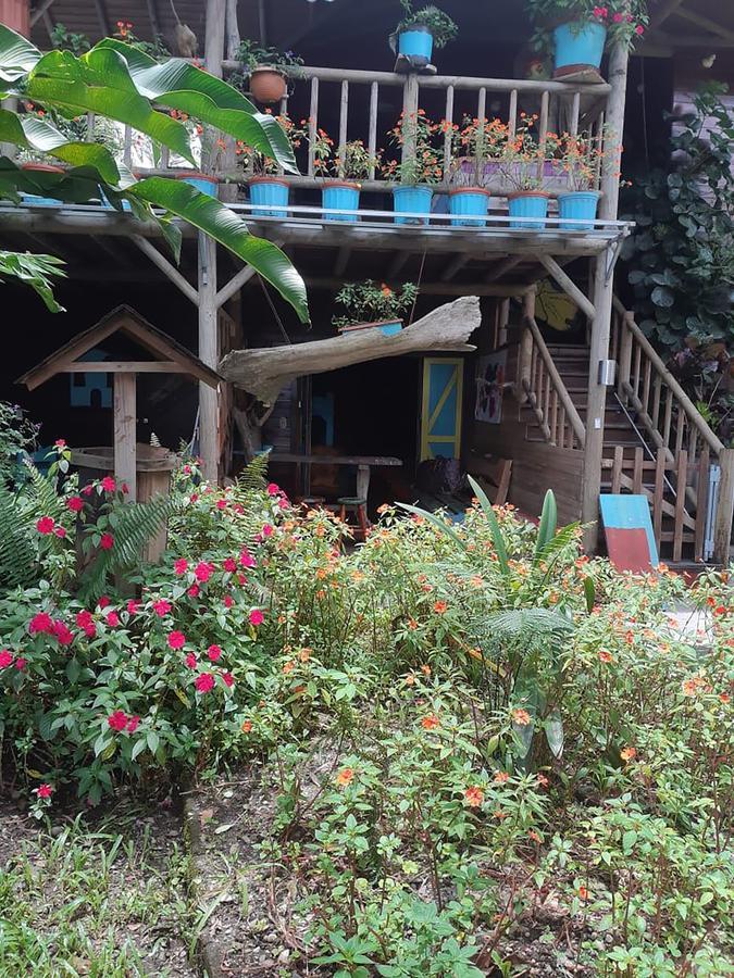 Wood House Hostel La Fortuna Dış mekan fotoğraf