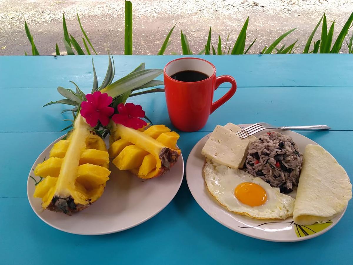 Wood House Hostel La Fortuna Dış mekan fotoğraf